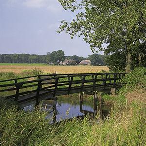 Wandelen in het Reestdal